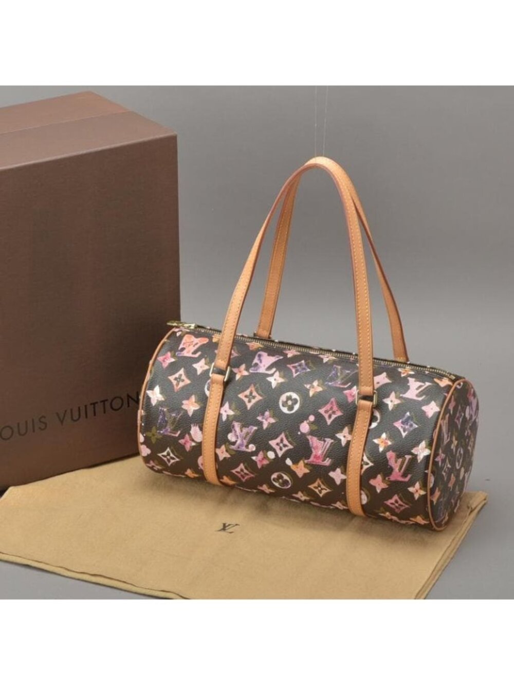 Louis Vuitton Papillon 30 Handbag Water